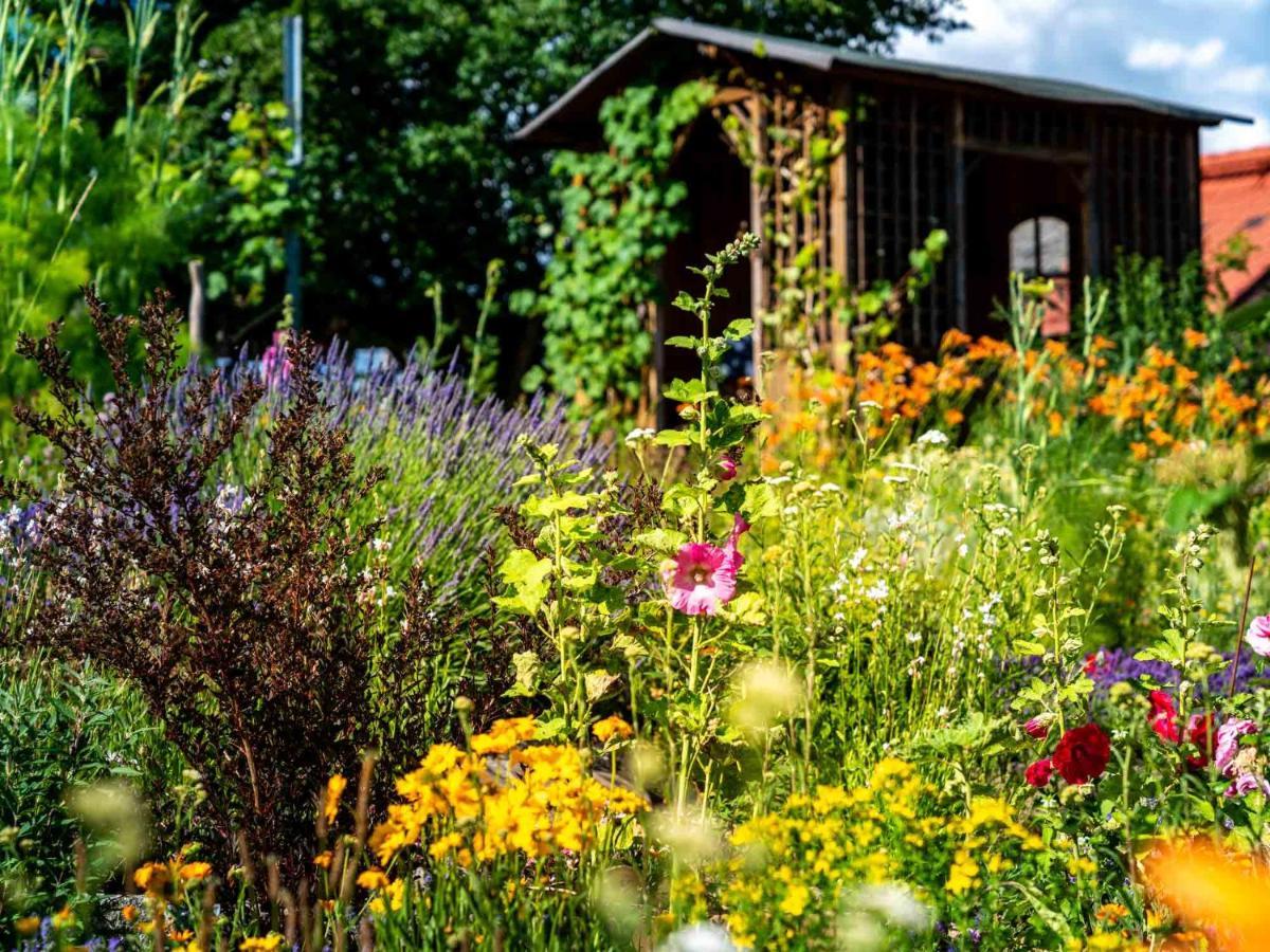 Landhotel Gut Wildberg Meißen Exteriör bild