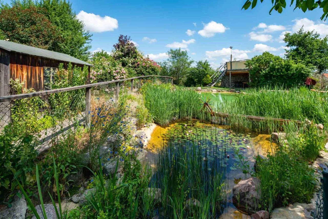 Landhotel Gut Wildberg Meißen Exteriör bild