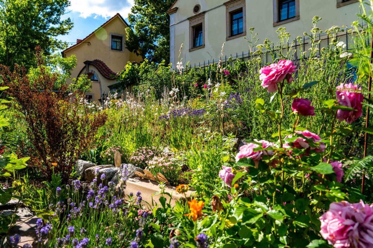 Landhotel Gut Wildberg Meißen Exteriör bild