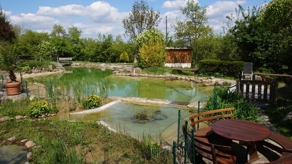 Landhotel Gut Wildberg Meißen Exteriör bild